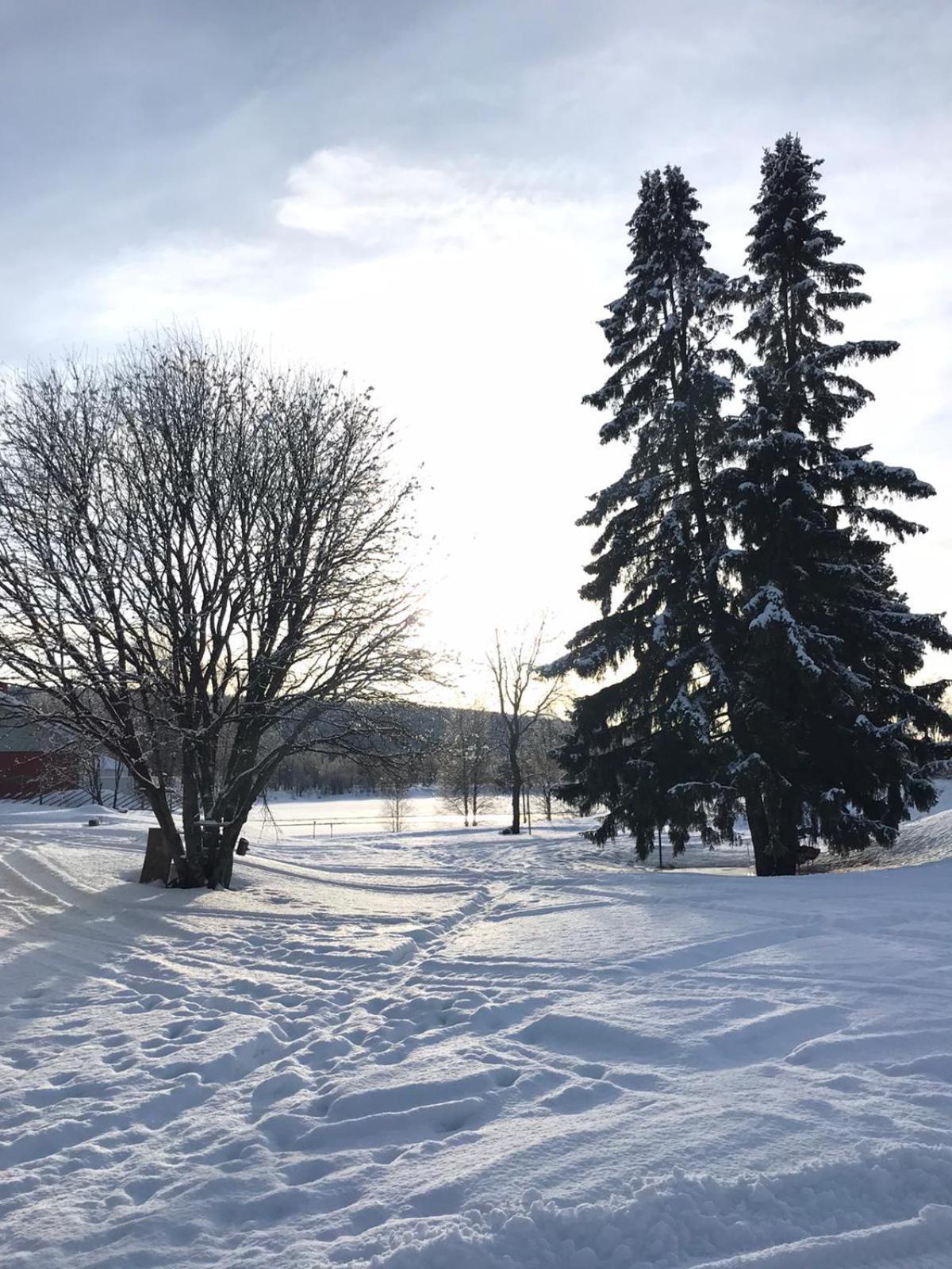 Apartment Suutarintie - Authentic Lappish Experience By The River Rovaniemi Exterior foto